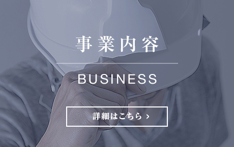 bnr_business_half